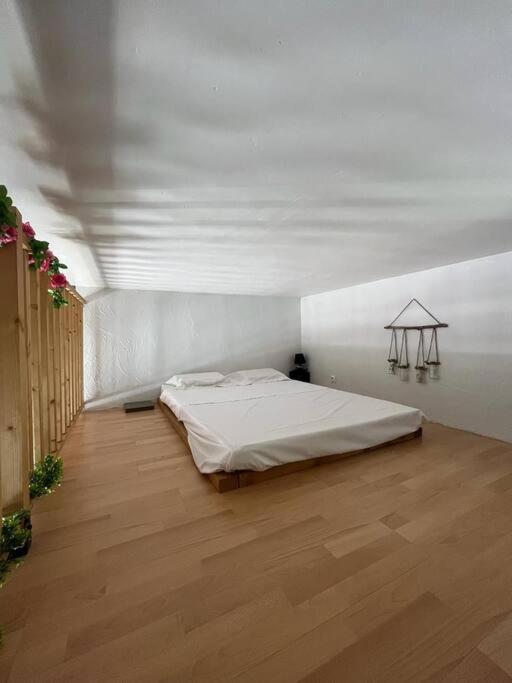 Loft Avec Mezzanine, Limitrophe Monaco Apartment *