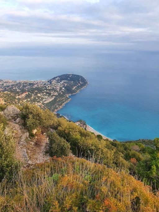 Loft Avec Mezzanine, Limitrophe Monaco *
